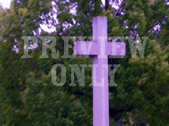 CROSS TREE 5